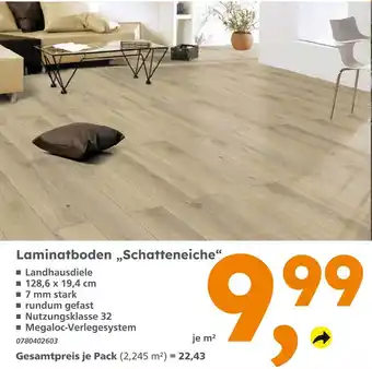 Globus Baumarkt Laminatboden 'schatteneiche' Angebot