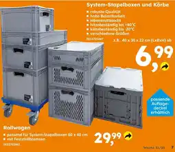 Globus Baumarkt System-stapelboxen und körbe Angebot