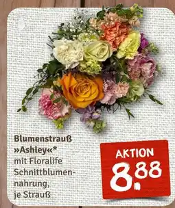 nahkauf Blumenstrauß ashley Angebot