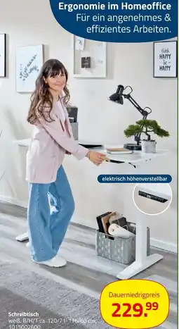 ROLLER Schreibtisch Angebot