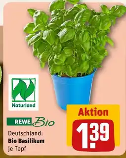 REWE Rewe bio bio basilikum Angebot
