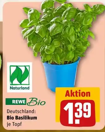 REWE Rewe bio bio basilikum Angebot