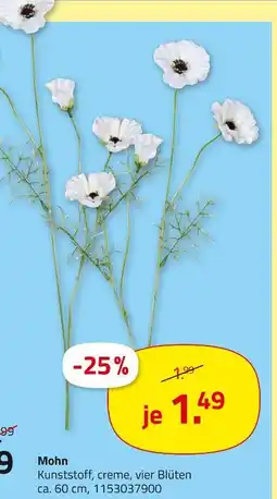 ROLLER Mohn Angebot