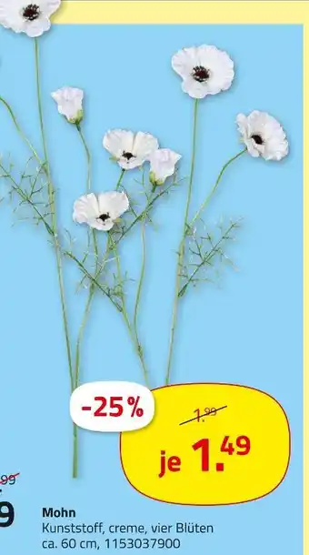ROLLER Mohn Angebot