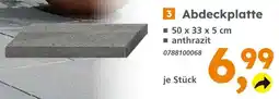 Globus Baumarkt Abdeckplatte Angebot
