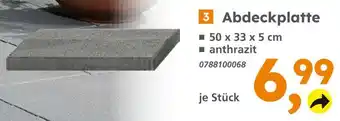 Globus Baumarkt Abdeckplatte Angebot