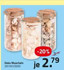 ROLLER Deko muscheln Angebot