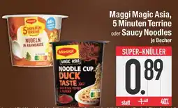 Edeka Maggi 5 minuten terrine nudeln in rahmsauce Angebot