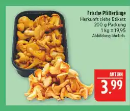 Marktkauf Frische pfifferlinge Angebot