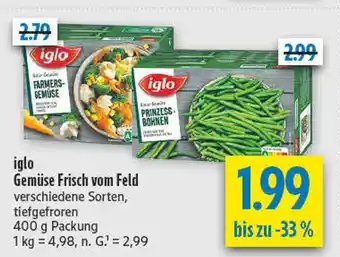 diska Iglo farmers-gemüse Angebot