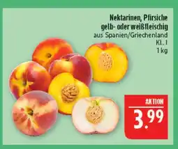 Marktkauf Nektarinen gelb- oder weißfleischig Angebot