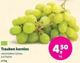 Biomarkt Trauben kernlos Angebot