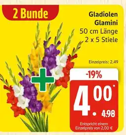 Marktkauf Gladiolen glamini Angebot