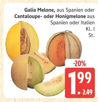 Marktkauf Galia melone Angebot