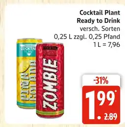 Marktkauf Cocktail plant pina colada Angebot