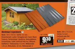 V Baumarkt Weckman Trapezblech Angebot