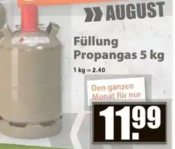 V Baumarkt Füllung Propangas 5 kg Angebot