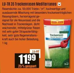 V Baumarkt LU-TR 35 Trockenrasen Mediterraneo Angebot