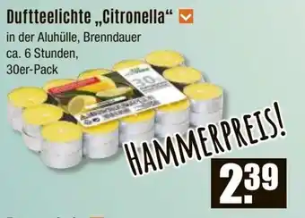 V Baumarkt Duftteelichte,,Citronella" Angebot