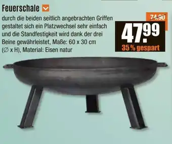 V Baumarkt Feuerschale Angebot