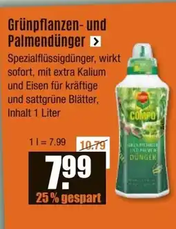 V Baumarkt Grünpflanzen- und Palmendünger Angebot