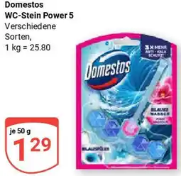 Globus Domestos WC-Stein Power 5 Angebot