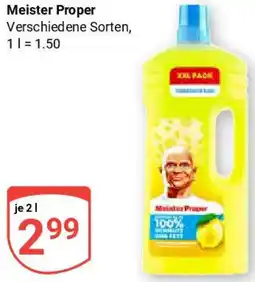 Globus Meister Proper Angebot