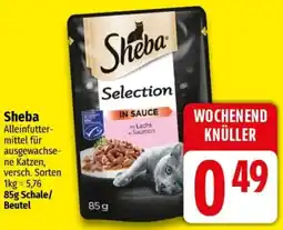 Ihr Frischmarkt Sheba Angebot