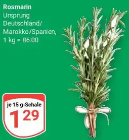 Globus Rosmarin Angebot