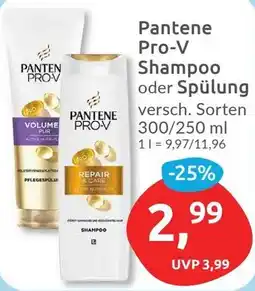 Budni Pantene Pro-V Shampoo oder Spülung Angebot