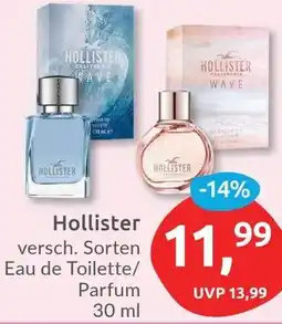 Budni Hollister Eau de Toilette/ Parfum Angebot