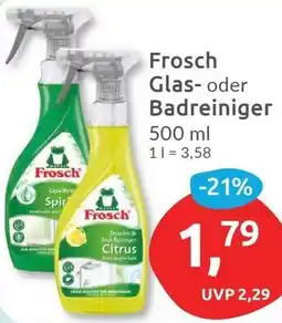 Budni Frosch Glas- oder Badreiniger Angebot