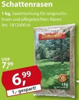 Sonderpreis Baumarkt Schattenrasen Angebot