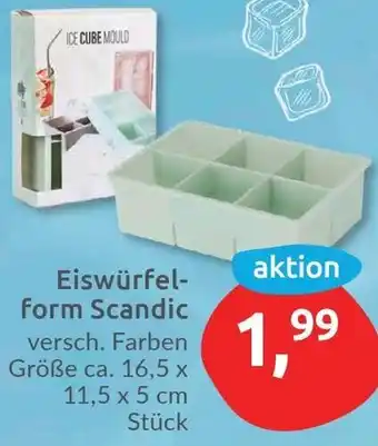 Budni Eiswürfelform Scandic Angebot