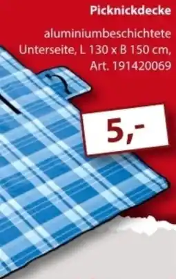 Sonderpreis Baumarkt Picknickdecke Angebot