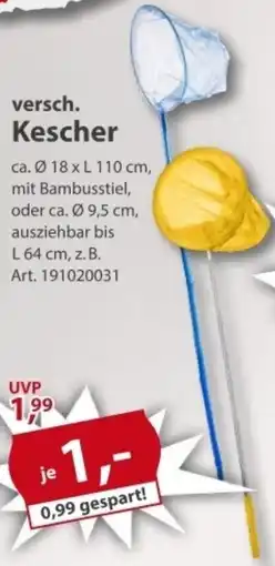 Sonderpreis Baumarkt versch. Kescher Angebot