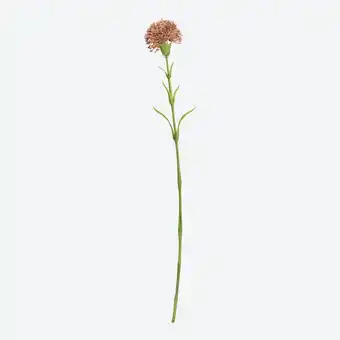 NKD Kunst-Flockenblume, Länge ca. 56cm Angebot