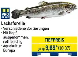 METRO Lachsforelle Angebot