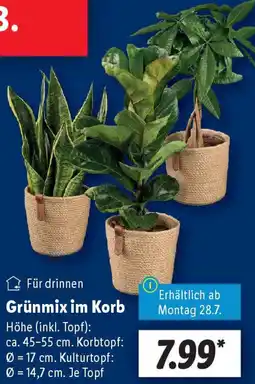 Lidl Grünmix im Korb Angebot