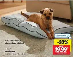Lidl zoofari Hundebett Angebot