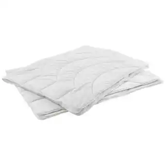 XXXLutz Bio Vio Ganzjahresbett Cadiz Angebot