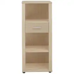 XXXLutz Stylife Aktenregal Angebot