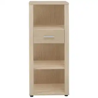 XXXLutz Stylife Aktenregal Angebot