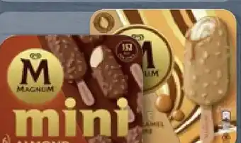 Aldi Nord Langnese Magnum Mini Almond Angebot