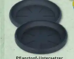 Aldi Nord Pflanztopf Untersetzer Angebot
