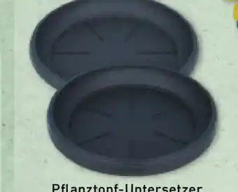 Aldi Nord Pflanztopf Untersetzer Angebot