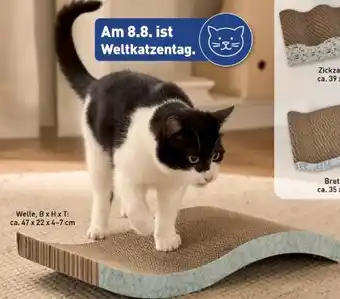 Aldi Nord Cachet Kratzmöbel Angebot