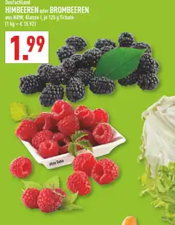 Marktkauf Himbeeren Angebot