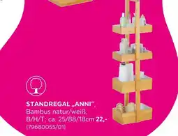 Mömax Standregal „anni“ Angebot