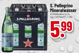 trinkgut S. pellegrino mineralwasser Angebot